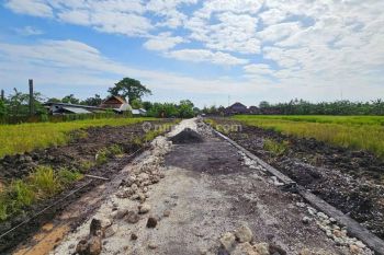 Tanah Kavling Ekonomis Fase 3 Area Nyithdah,kediri.tabanan