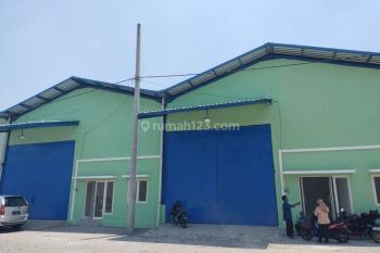 Gudang di Sumput Driyorejo Gresik , Gresik 432 m Baru HGB