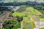 thumbnail-land-for-lease-with-ricefield-view-in-abiansemal-near-ubud-bali-7