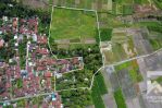 thumbnail-land-for-lease-with-ricefield-view-in-abiansemal-near-ubud-bali-6