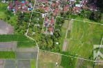 thumbnail-land-for-lease-with-ricefield-view-in-abiansemal-near-ubud-bali-3