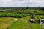 thumbnail-land-for-lease-with-ricefield-view-in-abiansemal-near-ubud-bali-1