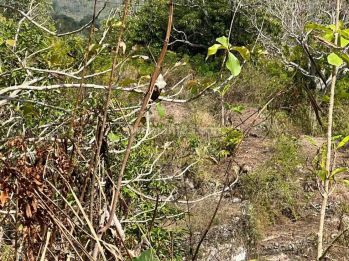 Hot List Di Jual Tanah Lokasi Klumpu Nusa Penida Klungkung