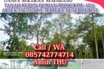 thumbnail-luas-943-shm-cuma-rp-100-juta-lebih-dikit-akses-jalan-ada-mudah-di-akses-kebun-0