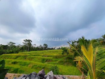 Dijual tanah view sawah sangat indah di Ubud