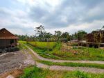 thumbnail-dijual-tanah-view-sawah-sangat-indah-di-ubud-8