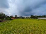 thumbnail-dijual-tanah-view-sawah-sangat-indah-di-ubud-7