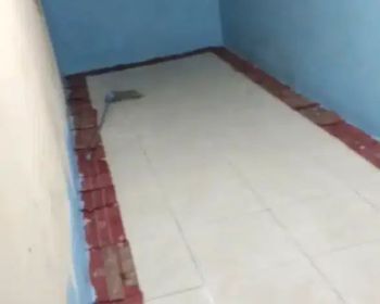 Rent Rumah: Disewakan rumah