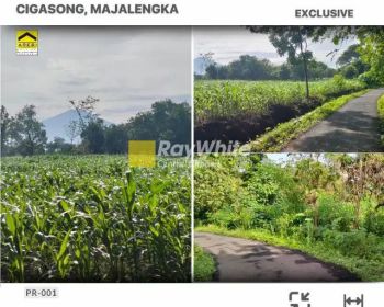 Dijual Tanah Kebun Produktif di Simpeureum Majalengka