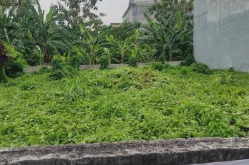 Kavling Kalijudan Dimensi Favorit Kontraktor Bisa Di Bangun  3 Rumah