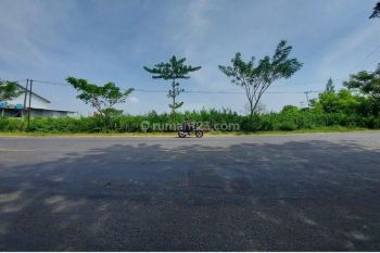 Tanah tuban nol jalan propinsi cocok gudang pabrik