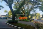 thumbnail-rumah-bagus-25-lantai-di-bintaro-sektor-9-sc-10465-rs-4