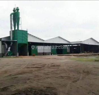 GUDANG EX PABRIK JALAN RAYA CERME METATU GRESIK LOKASI STRATEGIS