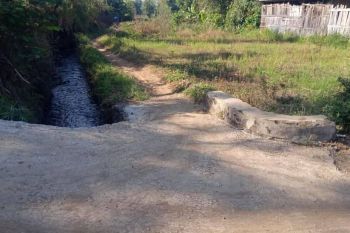 TANAH SAWAH SUBUR HARGA BAIK DI JUNREJO KOTA BATU.