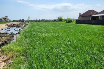 Land For Lease In Seseh Beach, Bali, Pg 045