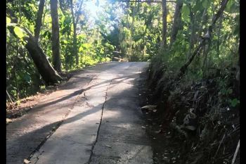 MURAHHHH HANYA 450/m TANAH + KEBUN JATI DI PAJANGAN BTL LT 5909m LD 150m MOBIL