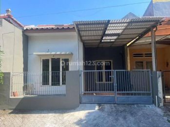 Disewakan pantai mentari siap huni kondisi sudah di cat ulang