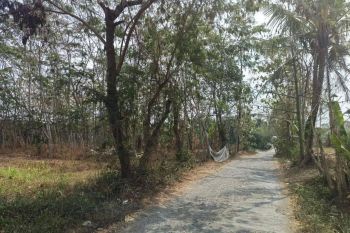 Tanah Siap AJB di Tajem Timur UNRIYO Kampus 2