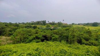 Dijual tanah Di Ubud view cantik jungle lembah dan sungai