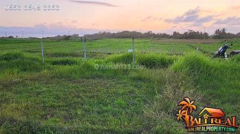 3,700 M2 Tanah Sawah Lokasi Lahan Dekat Pantai Beraban