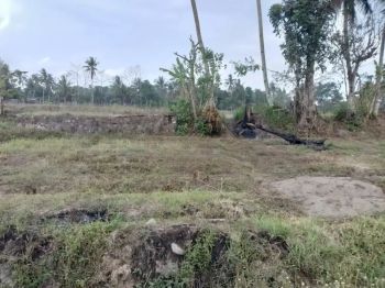 Dijual tanah cocok untuk villa atau resto utara pasar rejondani