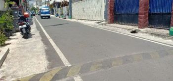 Jual Cepat Tanah Suhat Mlg Bunga Kumis Kucing