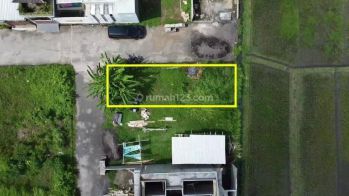 Jual Tanah View Sawah Abadi