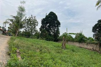 Dijual Tanah Celentang Dekat PT Pusri