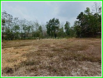 Dijual Tanah Dekat Sate Pak Pong Jogja Lokasi Sanan Bantul