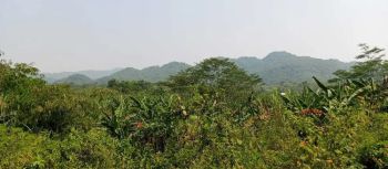 Tanah di Jual Harga Murah di Bogor Surat SHM View Gunung Jalan Cor