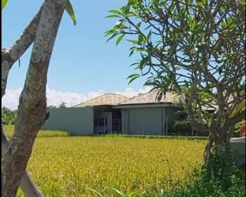 Tanah Gianyar Bali SHM Dekat Royal Purnama View Sawah