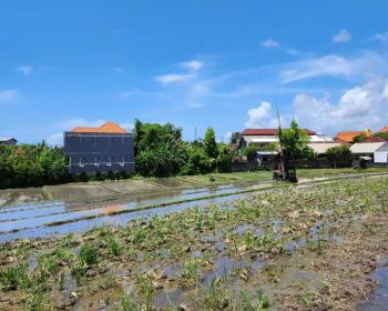 Dijual Tanah 16,7 are d berawa canggu