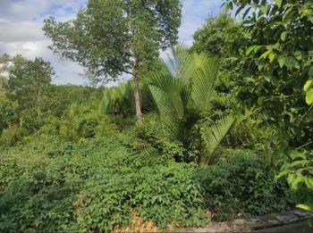 ASET BTN BANJARMASIN. TANAH KOSONG STRATEGIS TENGAH KOTA TANAH BUMBU