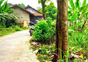 Tanah Cibinong 320m Murah Hanya 2,5 Jt Dekat Mcd Sukahati