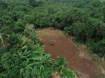 Kaveling Lahan Matang Siap AJB Area Rumpin Bogor, Jadikan Investasi Masa Depan