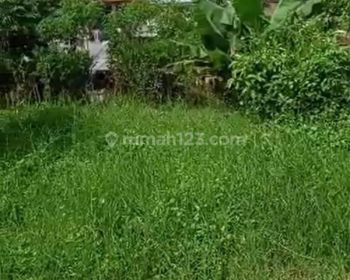 Tanah Luas 1000 M2 Disewakan di Kendalpayak Malang Gmk02156