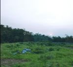 thumbnail-teja-sukmana-tanah-subur-harga-dibawah-njop-di-ciseeng-bogor-4