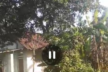 Dijual tanah untuk rumah kebun di perkampungan Ngoro, Jombang