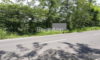 TANAH JL RAYA CERME-METATU GRESIK