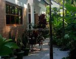 thumbnail-for-sale-4br-villa-just-600-meter-to-the-beach-and-close-to-central-lovina-9