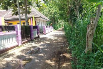 Tanah Kebun Murah Puol di Buring Malang Raya