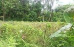 thumbnail-tanah-kebun-murah-puol-di-buring-malang-raya-1