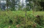 thumbnail-tanah-kebun-murah-puol-di-buring-malang-raya-4