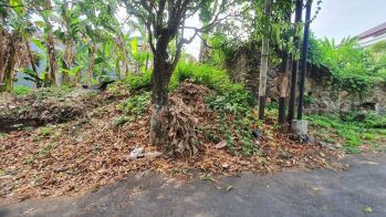 Dijual Tanah Tembalang Ngesrep Area Bukitsari Semarang