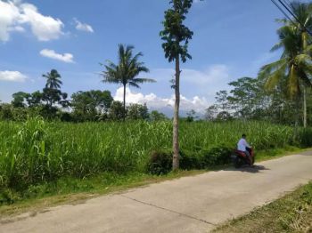 Sell Tanah: Tanah di jual cepat