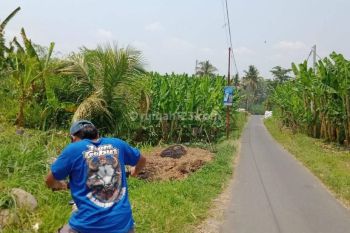 Dijual Tanah Istimewa Di Jabung Malang
