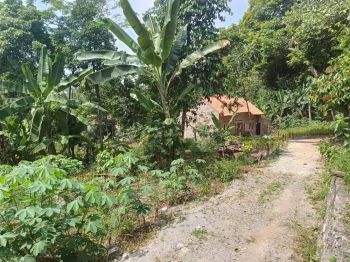 TANAH MURAH KEMILING LANGKAPURA COCOK BUAT RUMAH KOS