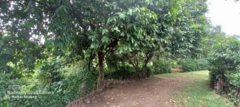 DIJUAL SANGAT MURAH!! Tanah 5 Hektar di Ciseeng Cocok Untuk Perumahan.