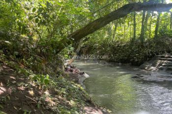 Tanah Los sungai super langka siap Bangun Di Buwit  kaba kaba Tabanan Bali