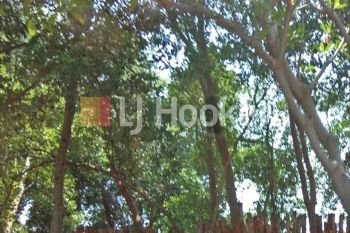 Kavling Pantai Mutiara, Jakarta Utara